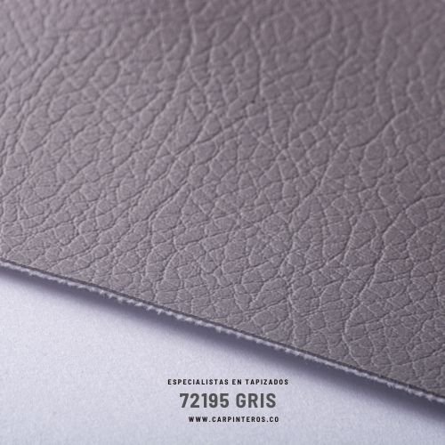 72195 Gris