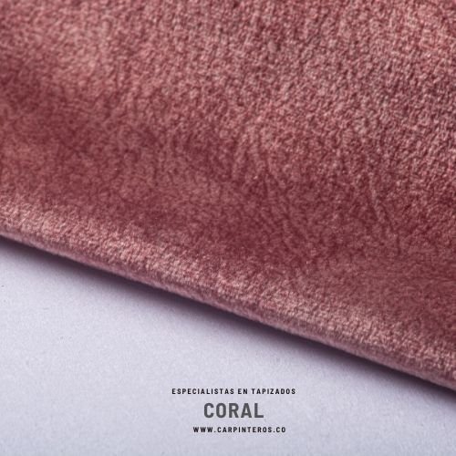 Cleveland Coral