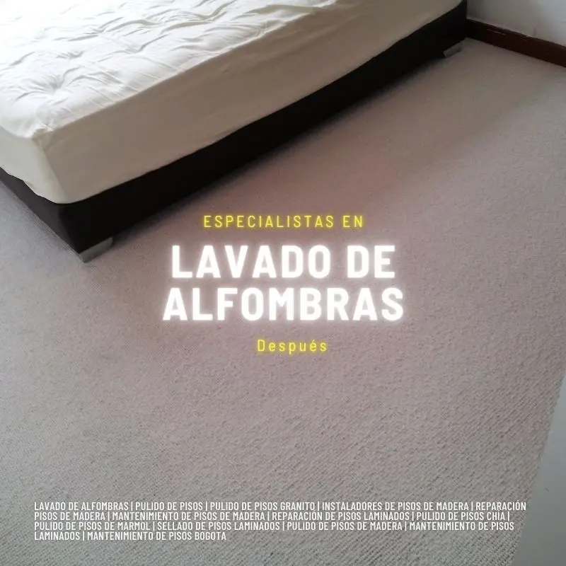 Lavado de alfombras bogota despues